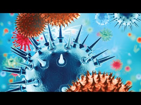 ICPIC 2019 : Innovation Academy - the finals