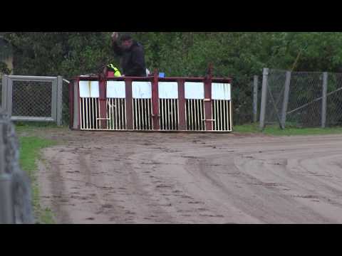 Lähtö 17: saluki, Sijoitus, pisteet 15-15, 480 m