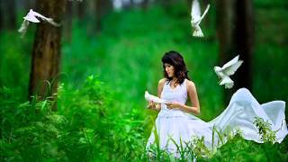 كلمات اغنية يا ملاك الحسن طلال مداح