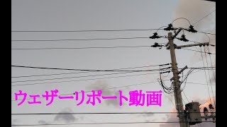 2019/01/11 ウェザーリポート動画【完全に溶け切った雪】＠福島県福島市/16:30頃