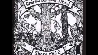 Andrew Jackson Jihad -Lightning Bolt