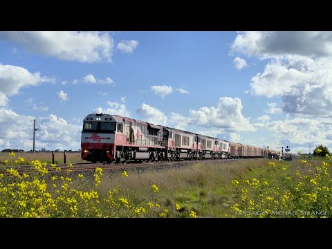 5PM9 SCT Freight Train With Boxcars & Containers (29/8/2021) - PoathTV Australian Railways
