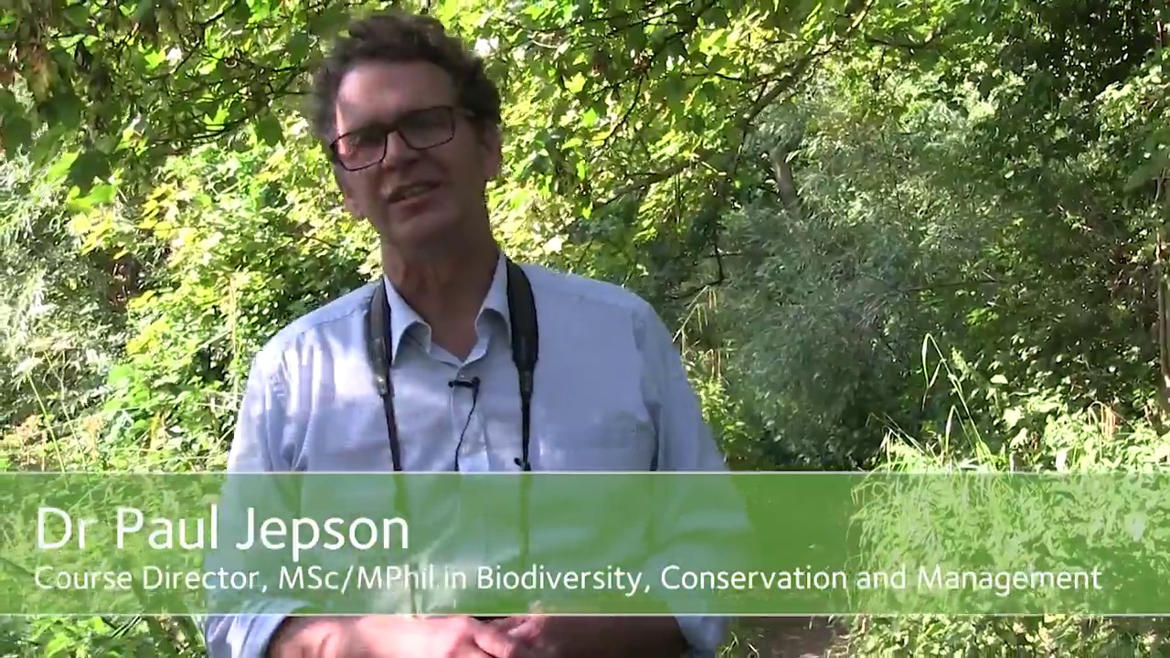 A walk through the Biodiversity, Conservation and Management MPhil/MSc with Dr Paul Jepson