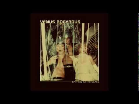 Venus Bogardus : Flat Planes