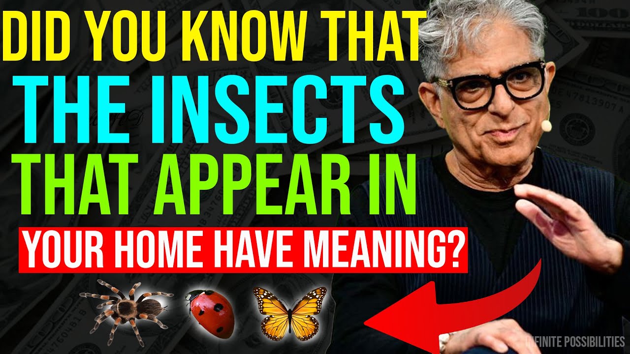 Did you know that the insects that appear in your home have meaning 🐞🦋