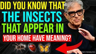 Did you know that the insects that appear in your home have meaning 🐞🦋