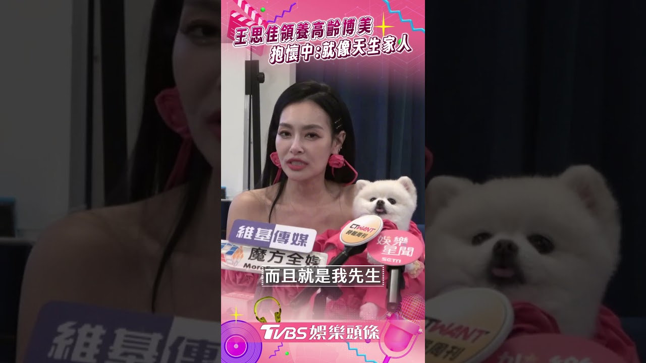 影音/王思佳領養10歲高齡博美! 抱懷中喊投緣:牠就像天生的家人