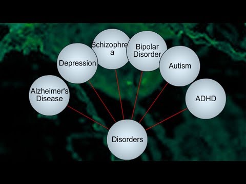 Interactive Cognition Map