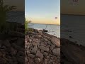 Mink at Lake Hefner in OKC, OK