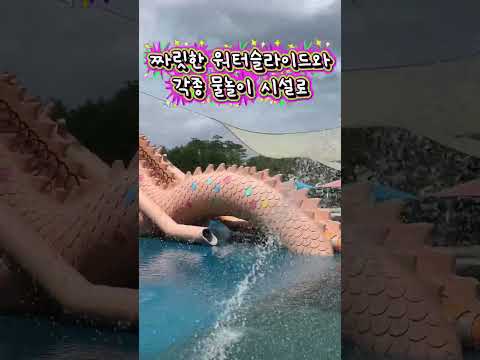 [SNS직원서포터즈] 해룡물놀이장 오픈!