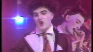 Enz Parrot Fashion Love 1977