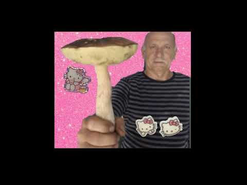 [FREE] *DNB* LIL DARKIE X NASCAR ALOE TYPE BEAT "parallel world"