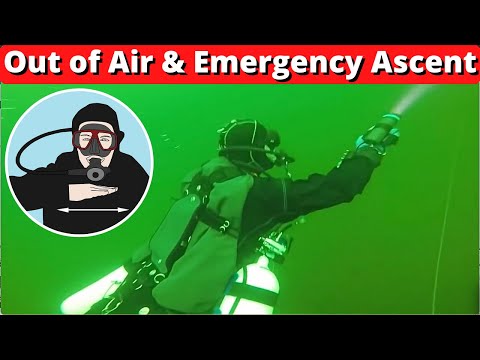 Scuba Diver Out of Air and Emergency Ascent - Catastrophic Buddy failure