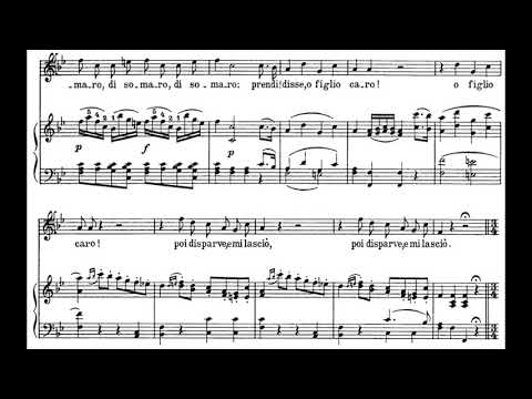 In quegli anni in cui val poco (Le nozze di Figaro - W.A. Mozart) Score Animation