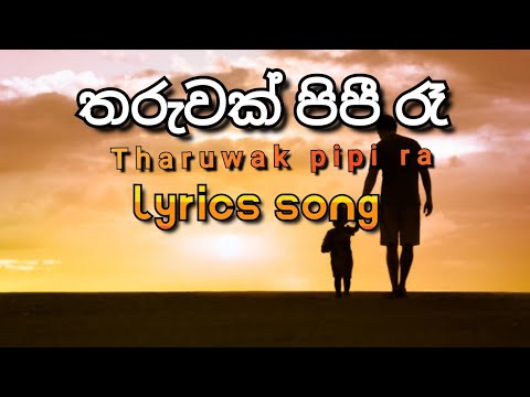 Tharuwak pipi ra lyrics song | තරුවක් පිපී රෑ මල් මාවතේ