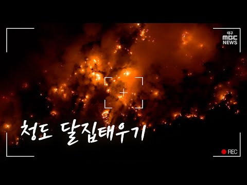 대구MBC