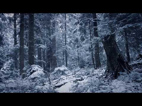 3 HOURS of Relaxing Snowfall  Beautiful Falling Heavy Snow   The Best Relax Music 1080p HD