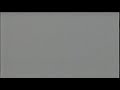 White Screen Of Death On My Be My Valentine Charlie Brown 1995 VHS
