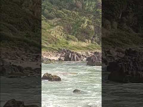 Praia  Grande penha sc