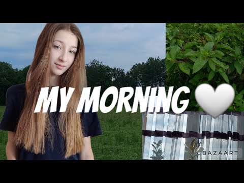 моё утро/my morning 🤍