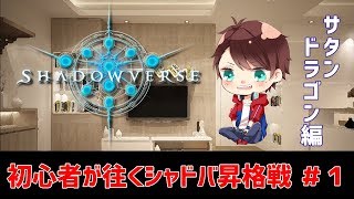 【実況】シャドバ初心者が往くMasterへの道  #1 ランクB昇格戦【シャドウバース/Shadowverse】