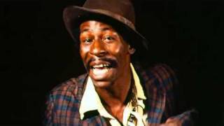 Sun Ra: Everything &amp; Nothing