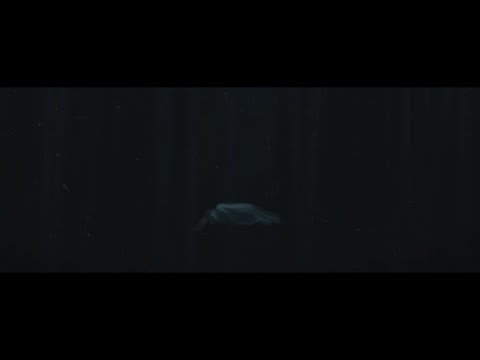 KØHM - Part VII & VIII