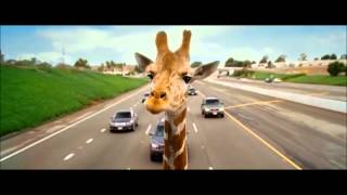 The Hangover Part 3 Trailer - Giraffe Scene