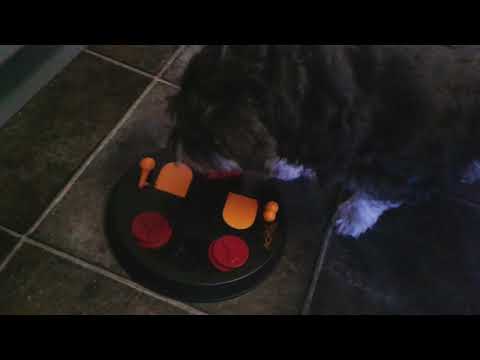 Havana et son jeu de stratégie ;)