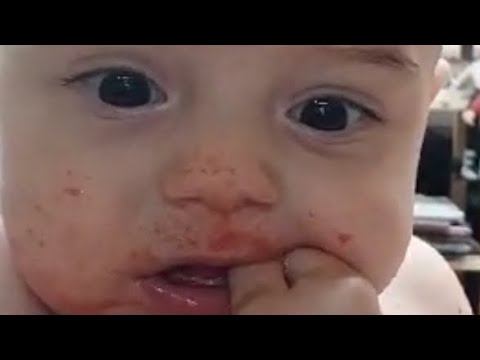 Как Коля собаку съел...😱28.06.23,Коле 7 месяцев и 24 дня 👶