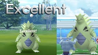 마기라스 엑셀런트 100% 던지기