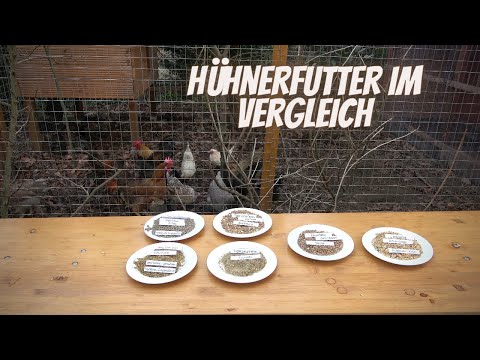 Hühner Tipp 6 - Hühnerfutter im Vergleich - Körnerfutter, Legemehl, Alleinfutter