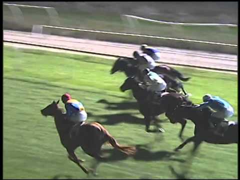 Galoppo 04/01/2015 - 6° corsa