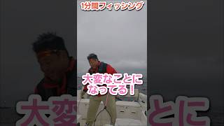 タコ