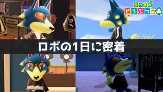 【あつ森】1日密着企画！ ロボの1日に密着してみた！【あつまれどうぶつの森】