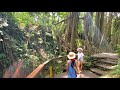 Monkey Forest in Ubud, Bali