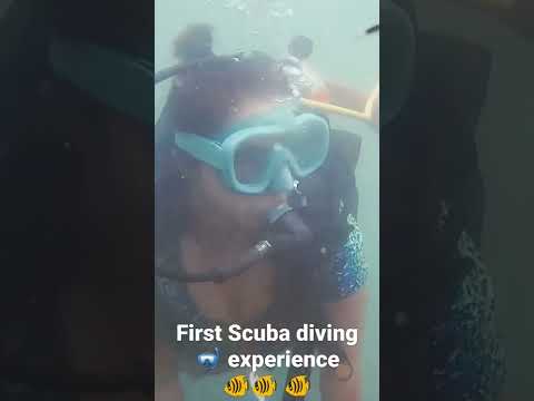 My first Scuba 🤿 diving experience 🐠🐠🐠💯 #scubadiving #underwater #scuba #adventure