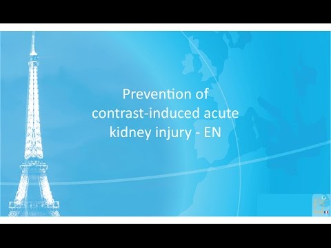SRLF 2014 - To prevent and treat acute kidney injury - E. HOSTE