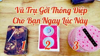 🎯Thông Điệp Ngẫu Nhiên Vũ Trụ Gởi Đến Bạn Ngay Lúc Này ? #message #thôngđiệp #mstarot #ypt🍀