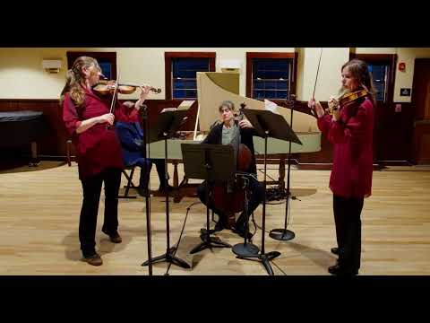 Heinrich Ignaz Franz Biber, Partia 1 from Harmonia artificioso-ariosa