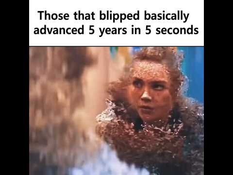 The blip experience