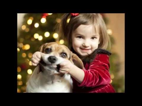 Dzeguzīte - Zvaniņš Skan ("Jingle Bells")