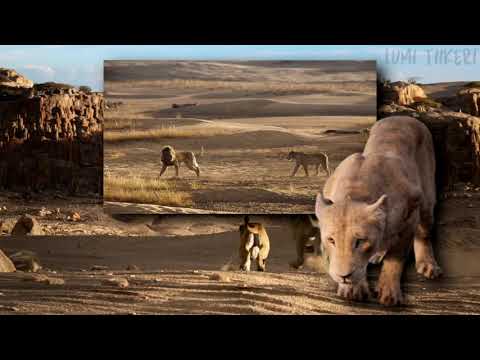 The Lion King 2019 - Spirit (Danish Blu-ray Version) [HD]