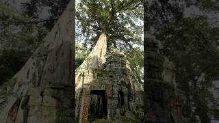 The Secret Behind the Tomb Raider Temple! #temple #mystery #viral #nature  #god #supernatural