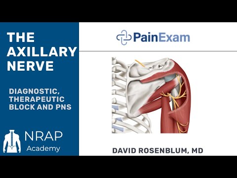 Axillary Nerve Block- PainExam Ultrasound Series in Collaboration with ASIPP
