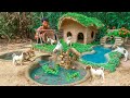 Rescue Abandoned Puppies Building Mud House Dog And Fish Pond For Red Fish