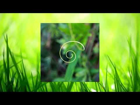 Bliss Looper, Equanimous - 528 Hz Solfeggio Healing