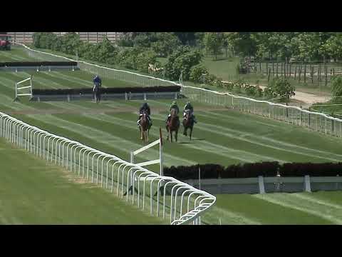 2023.07.02 1. FUTAM - NÚSZ - DIPLOMATA DÍJ - NYÁRI GÁTVERSENY