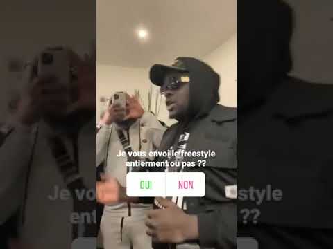 GRAYA EXCLU FREESTYLE