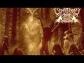 Waking The Witch ~ Kate Bush (1985)
